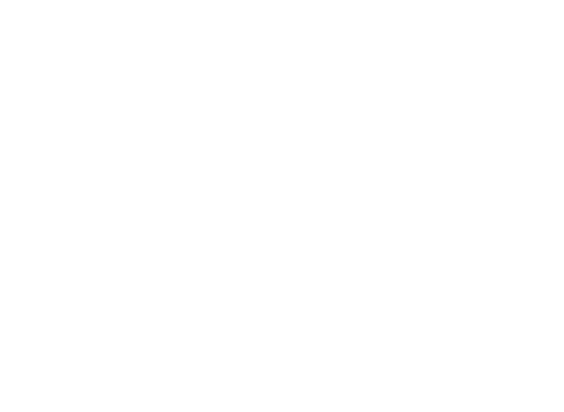 Sons Of Liberty Gun Works